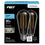 Feit Electric Light Bulb ST1940/950CATFIL/2 ST19 LED THIN FIL CL 5K 2PK,Clear
