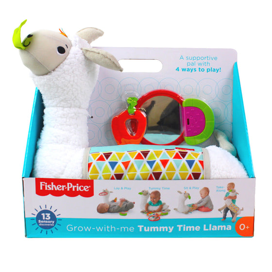 Fisher-Price FXC36 Newborn Toys, Multi
