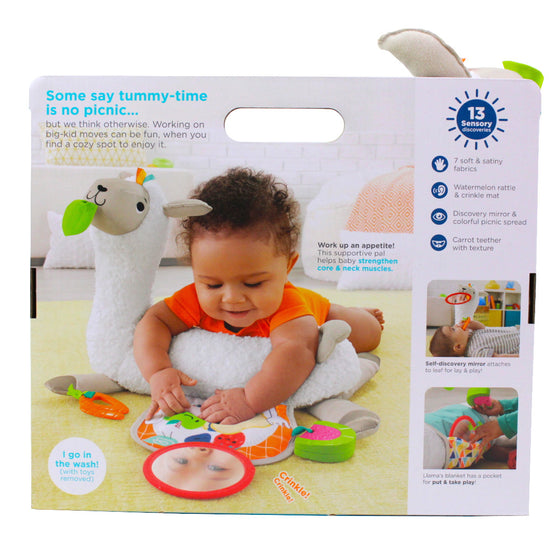 Fisher-Price FXC36 Newborn Toys, Multi