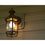 Feit Electric A1100/850/10KLED/2 Led A19 75 Watt Equiv., 10 Year, 11K, Non-Dimmable, 1100 Lumen, 5000K, (2-Pack), Daylight