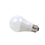 Feit Electric A800/850/10KLED Led A19 60-Watt Equiv., 10 Year, 11K, Non-Dimmable , 800 Lumen, 5000K, Daylight