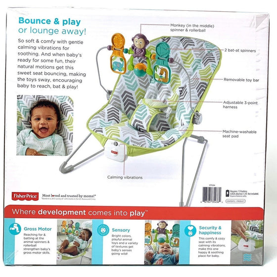 Fisher-Price DTG94 Fisher Price Baby's Bouncer, Green/Blue/Grey
