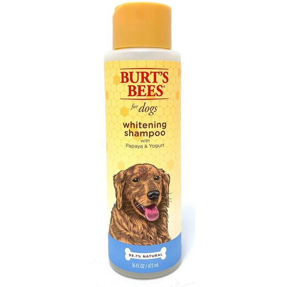 Burt's Bees FFP5793 Burt's Bees For Dogs Whitening Shampoo, 1-Pack